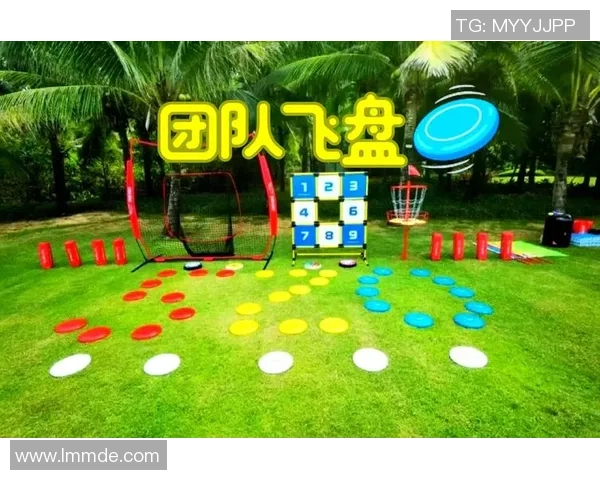 飞盘盛宴：深入解析北京飞盘队的默契配合与战术策略