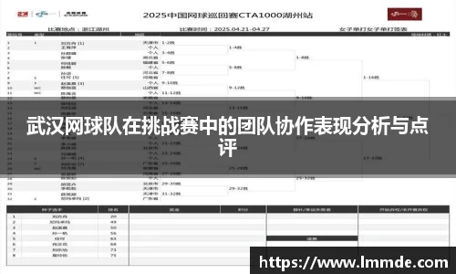 武汉网球队在挑战赛中的团队协作表现分析与点评